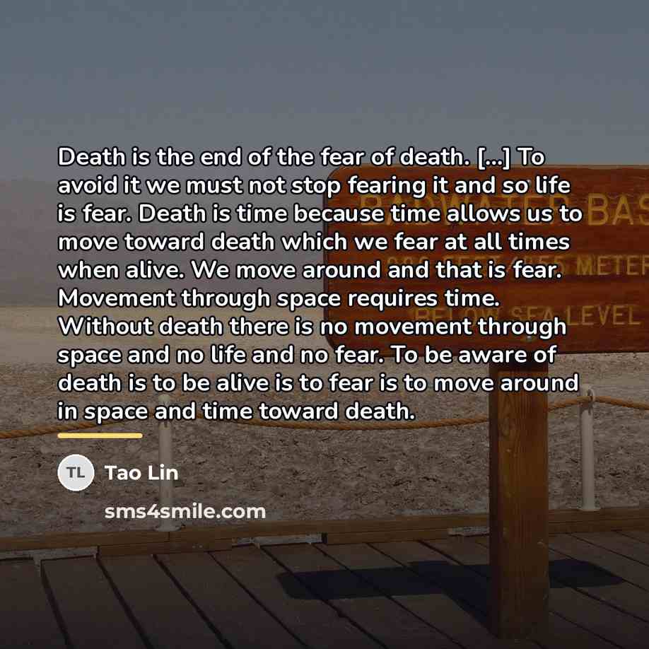“Death is the end of the fear of death. [...]…” quote by Tao Lin