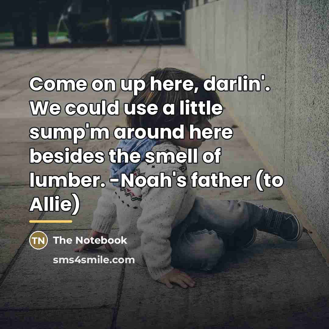 “Come on up here, darlin'. We could use a little…” quote by The Notebook