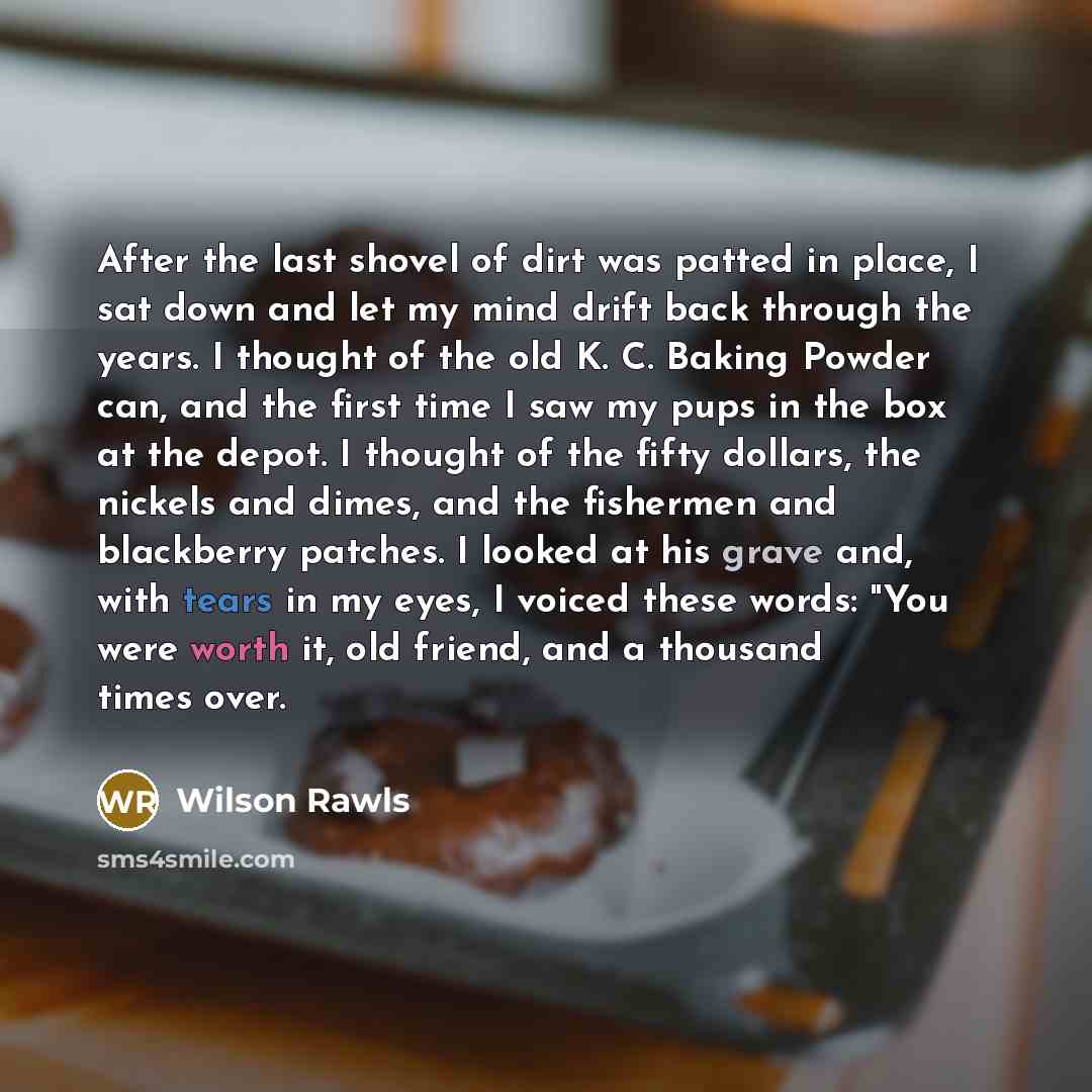 “After the last shovel of dirt was patted in place,…” quote by Wilson Rawls
