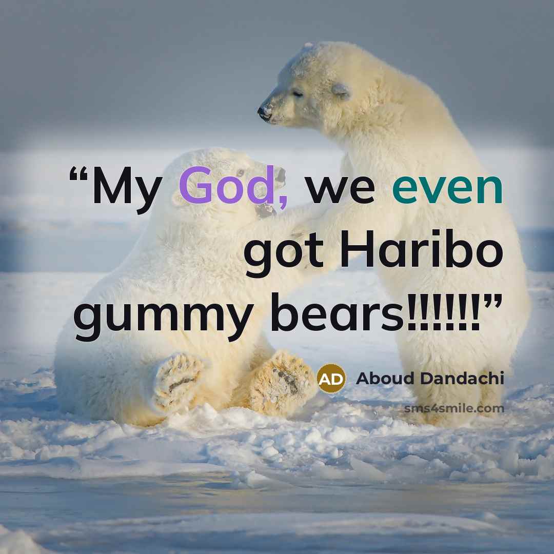 “My God, we even got Haribo gummy bears!!!!!!” quote by Aboud Dandachi