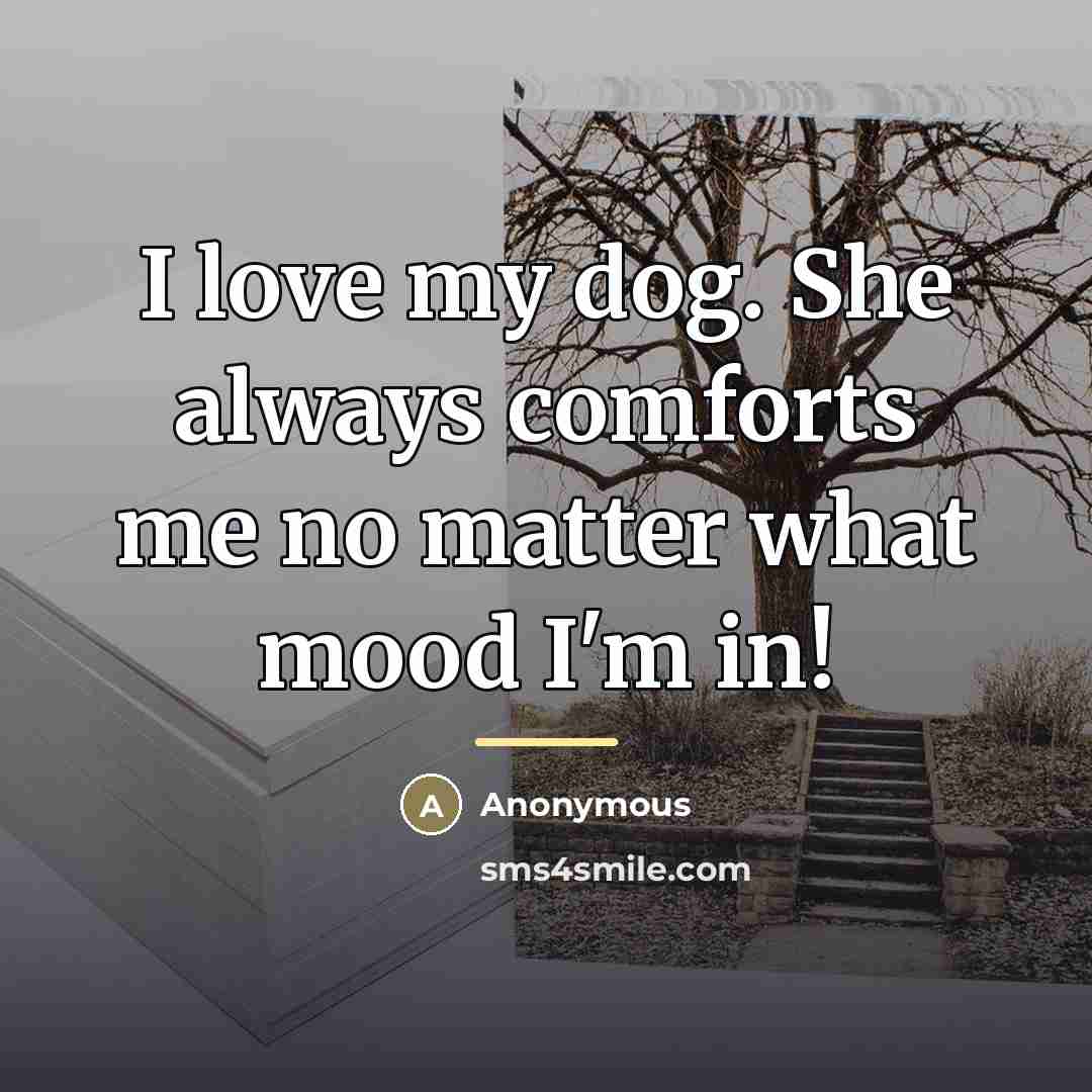 “I love my dog. She always comforts me no matter…” quote by Anonymous