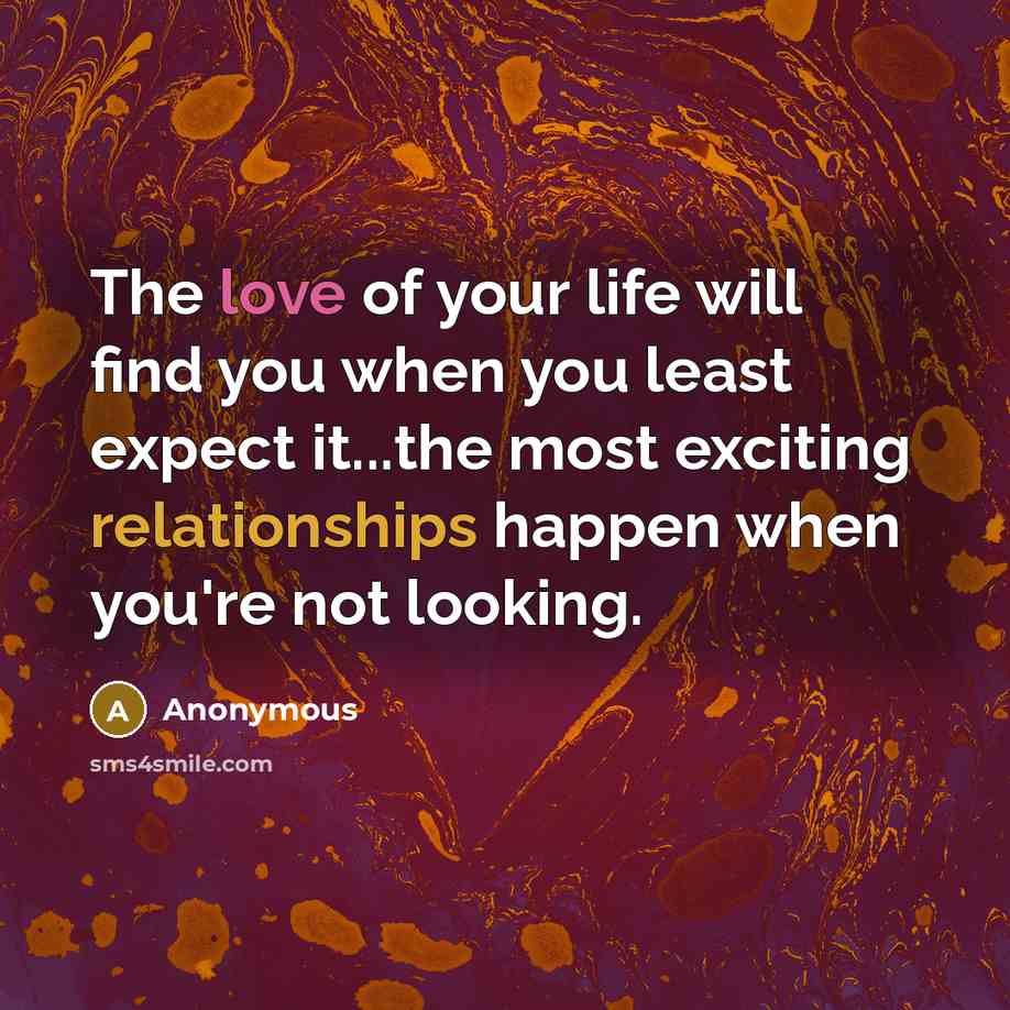 “The love of your life will find you when you…” quote by Anonymous