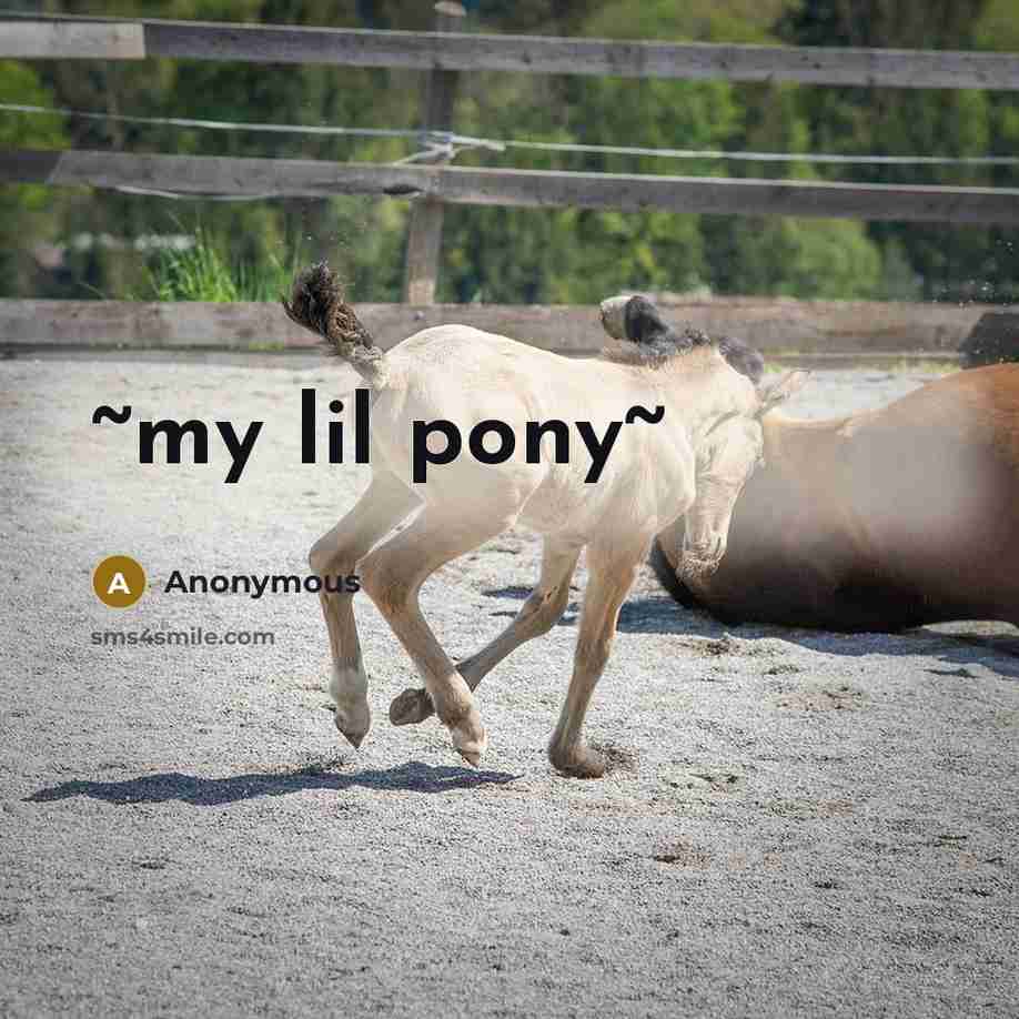“~my lil pony~” quote by Anonymous