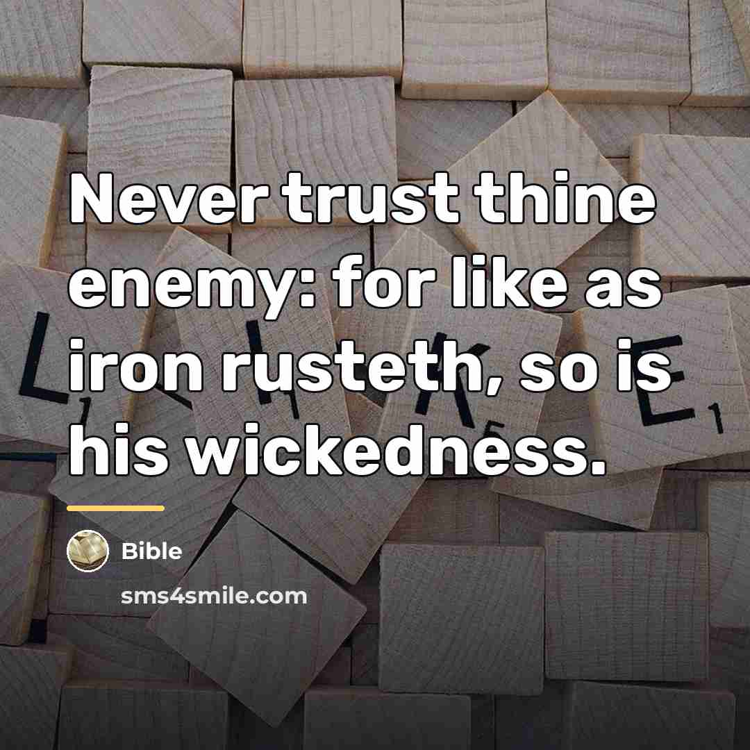 “Never trust thine enemy: for like as iron rusteth, so…” quote by Bible