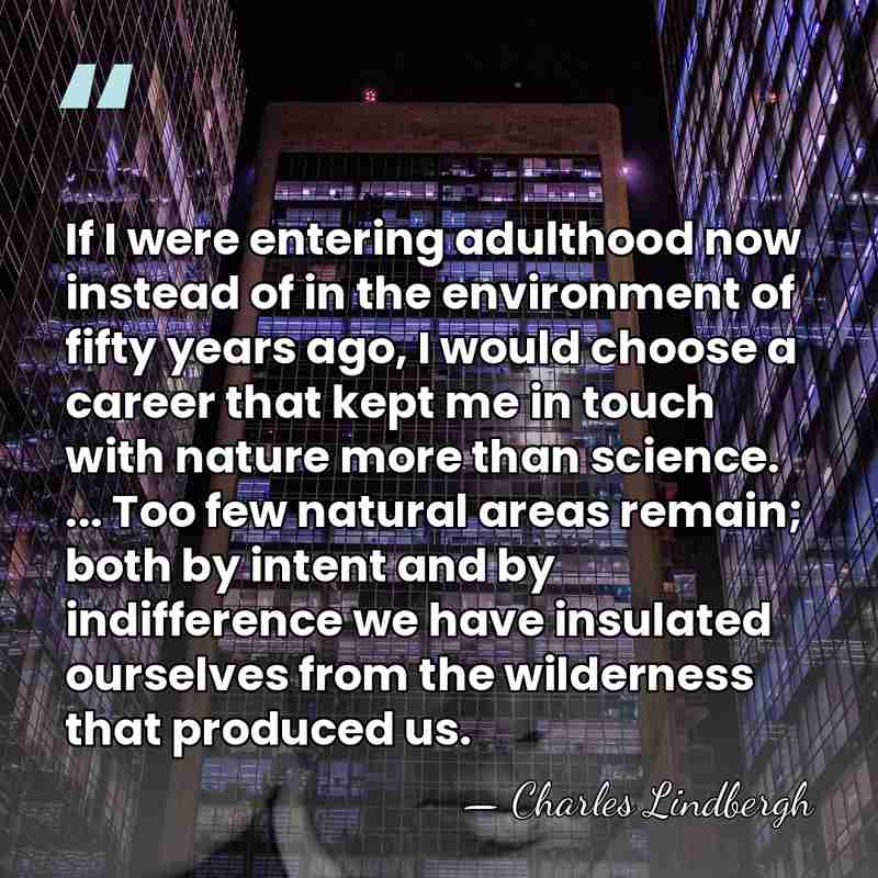 If I were entering adulthood now instead of in the environment of&hellip; - Charles Lindbergh