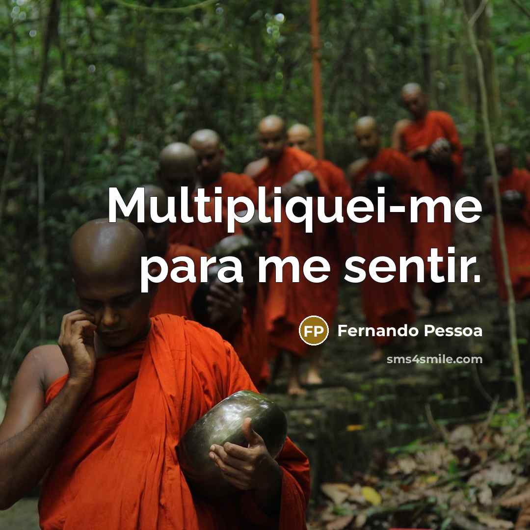 “Multipliquei-me para me sentir.…” quote by Fernando Pessoa