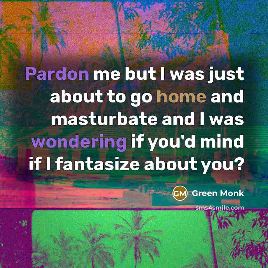 “Pardon me but I was just about to go home and masturbate and I was wondering if you'd mind if I fantasize about you?” quote by Green Monk