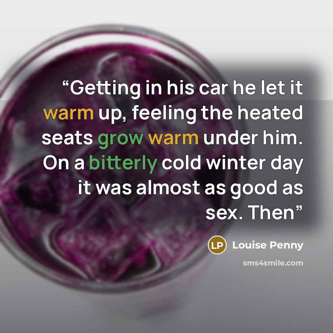 “Getting in his car he let it warm up, feeling the heated seats grow warm under him. On a bitterly cold winter day it was almost as good as sex. Then” quote by Louise Penny