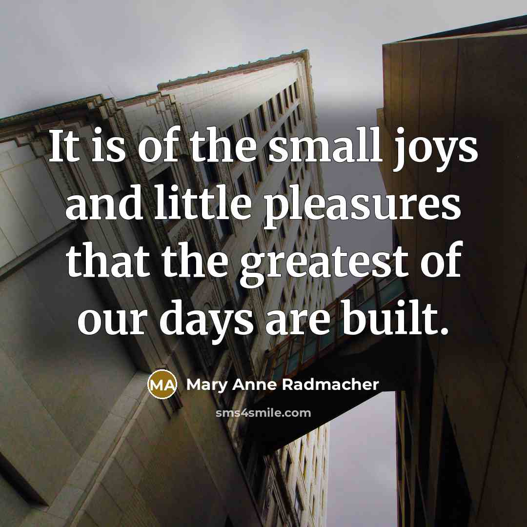 “It is of the small joys and little pleasures that…” quote by Mary Anne Radmacher