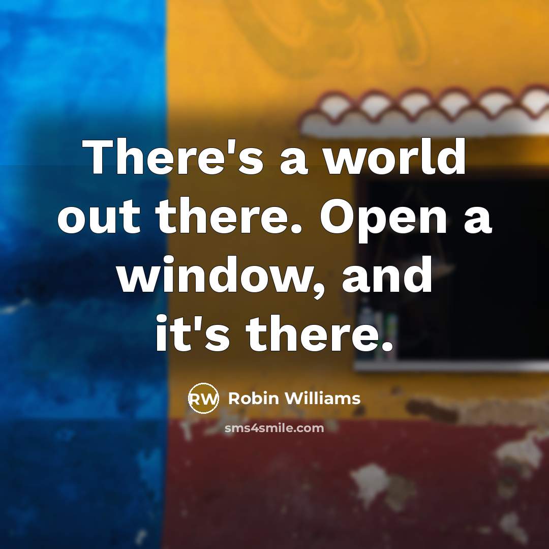 “There's a world out there. Open a window, and it's there.” quote by Robin Williams