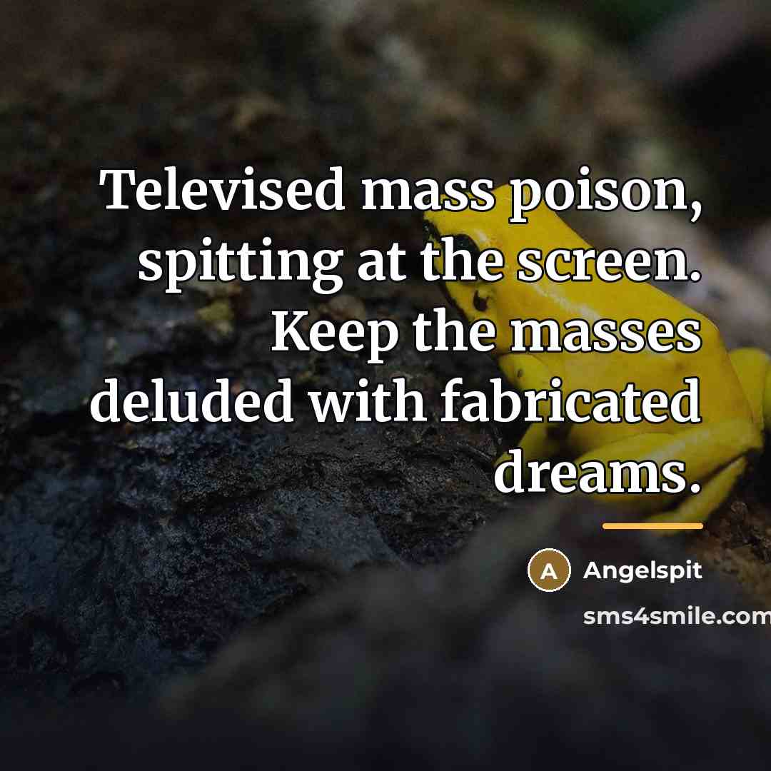 “Televised mass poison, spitting at the screen. Keep the masses…” quote by Angelspit