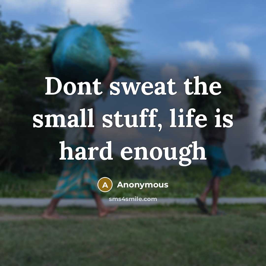 “Dont sweat the small stuff, life is hard enough…” quote by Anonymous