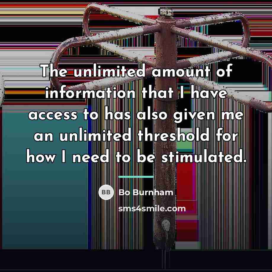 “The unlimited amount of information that I have access to…” quote by Bo Burnham