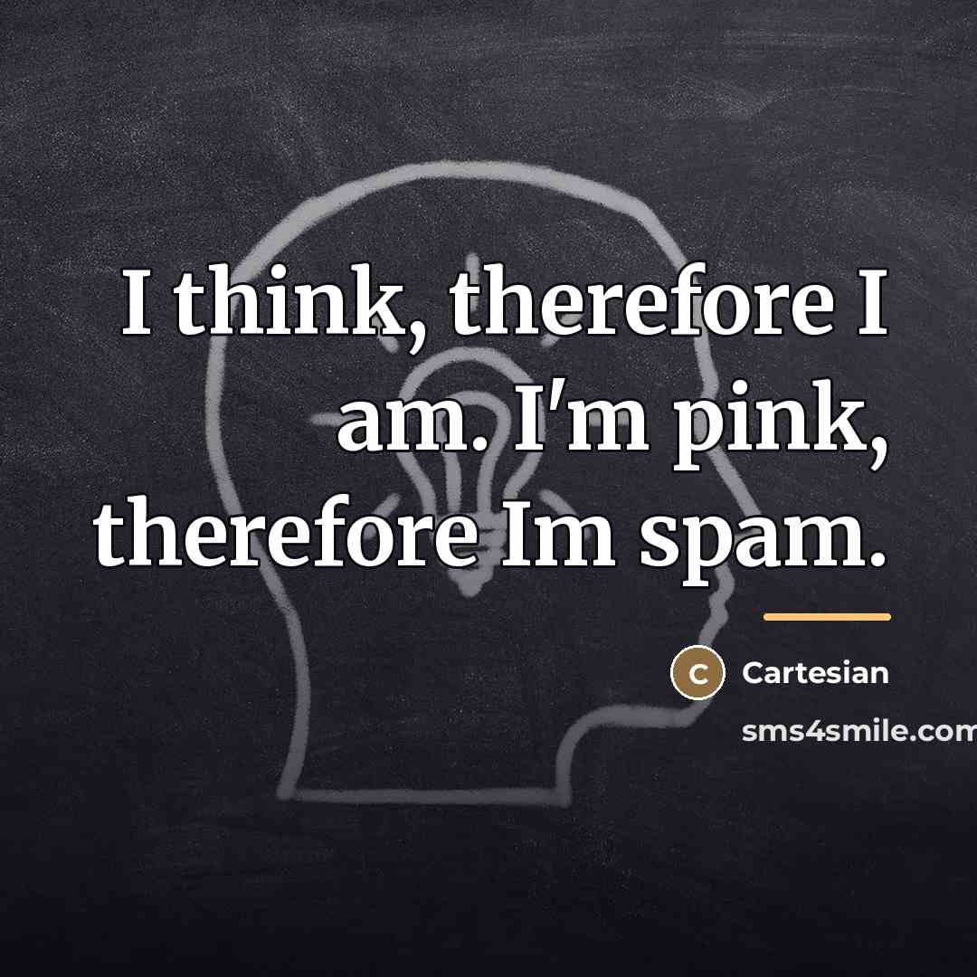 “I think, therefore I am. I'm pink, therefore Im spam.…” quote by Cartesian