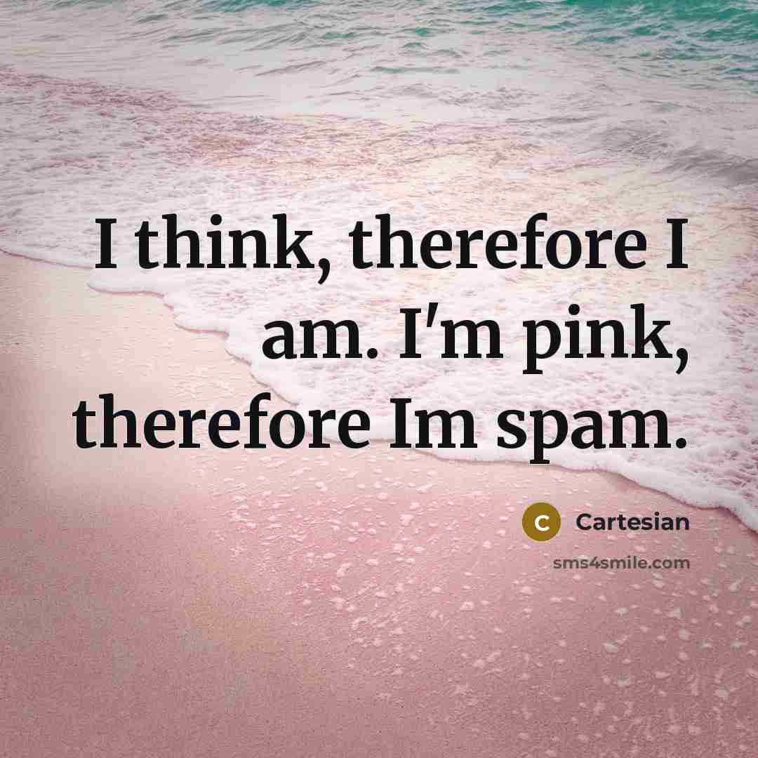 “I think, therefore I am. I'm pink, therefore Im spam.” quote by Cartesian