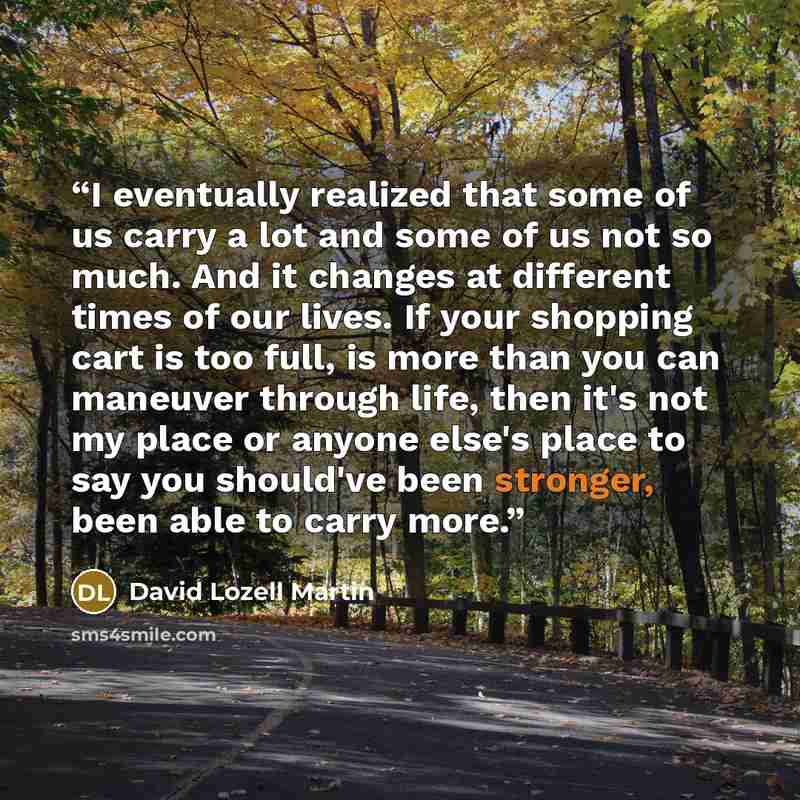 “I eventually realized that some of us carry a lot and some of us not so much. And it changes at different times of our lives. If your shopping cart is too full, is more than you can maneuver through life, then it's not my place or anyone else's place to say you should've been stronger, been able…” quote by David Lozell Martin