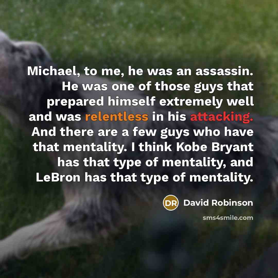 “Michael, to me, he was an assassin. He was one of those guys that prepared himself extremely well and was relentless in his attacking. And there are a few guys who have that mentality. I think Kobe Bryant has that type of mentality, and LeBron has that type of mentality.” quote by David Robinson