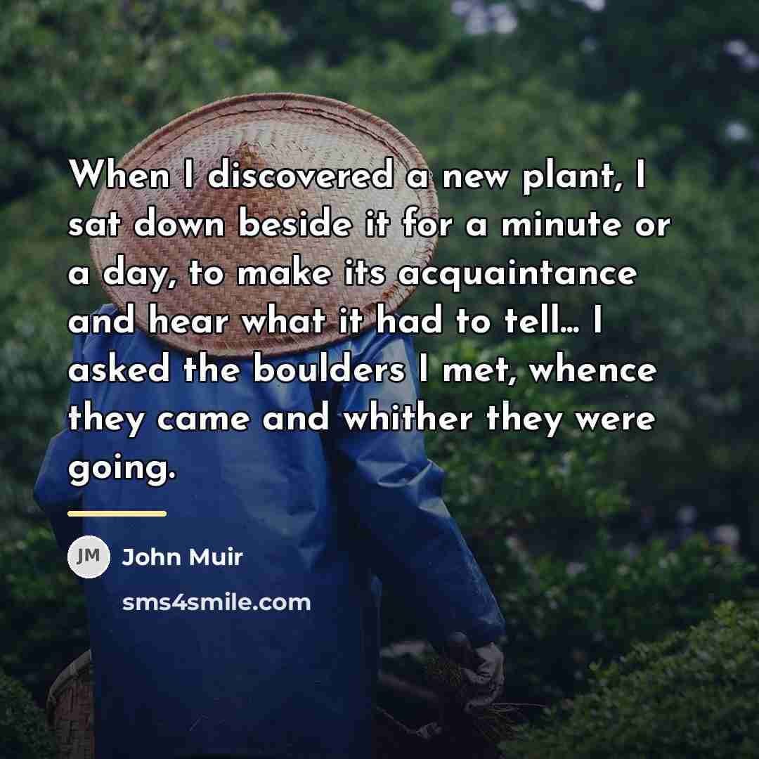 “When I discovered a new plant, I sat down beside…” quote by John Muir