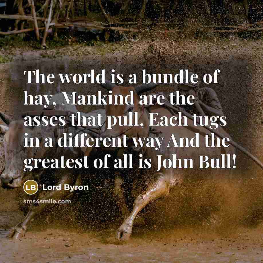 “The world is a bundle of hay, Mankind are the…” quote by Lord Byron