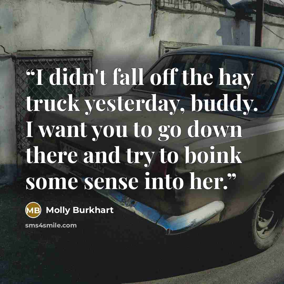 “I didn't fall off the hay truck yesterday, buddy. I want you to go down there and try to boink some sense into her.” quote by Molly Burkhart
