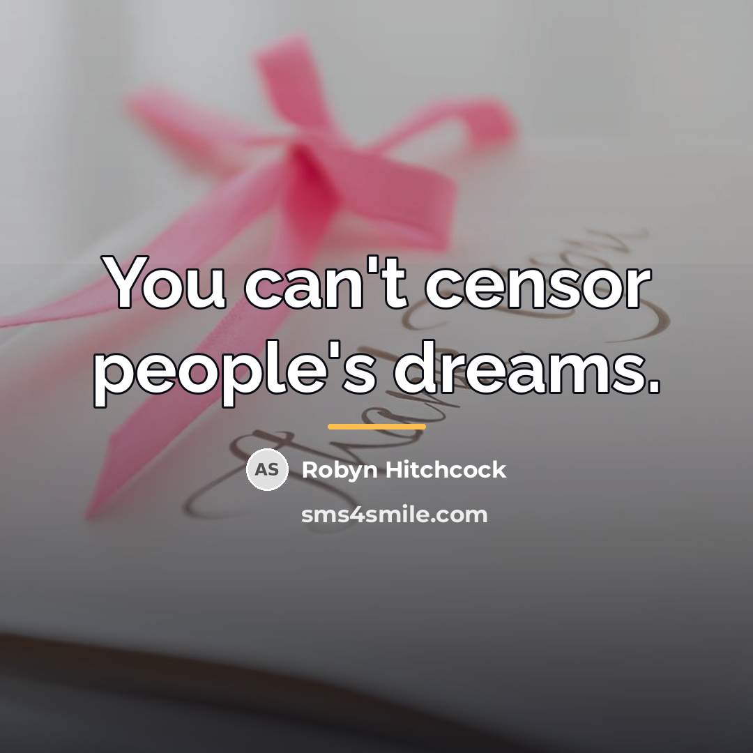 “You can't censor people's dreams.…” quote by Robyn Hitchcock