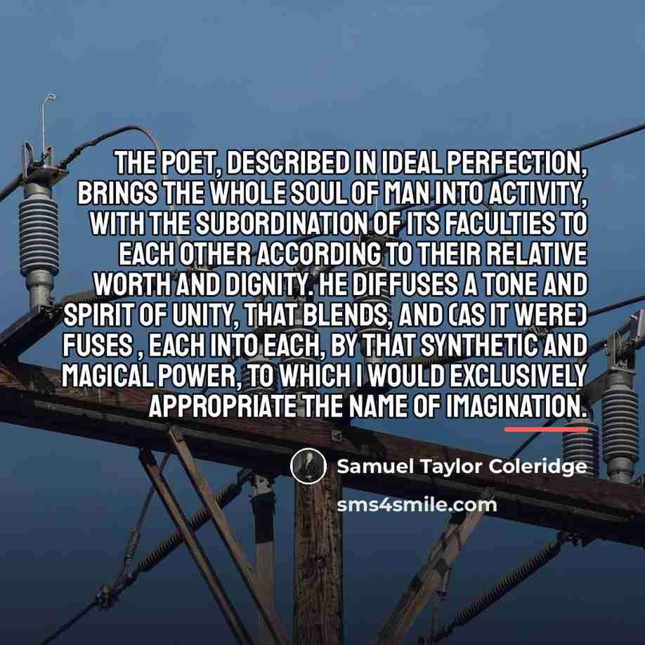 “The poet, described in ideal perfection, brings the whole soul…” quote by Samuel Taylor Coleridge