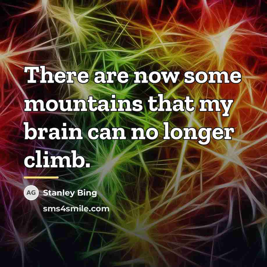 “There are now some mountains that my brain can no…” quote by Stanley Bing