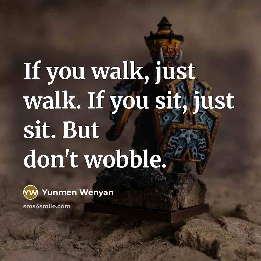 “If you walk, just walk. If you sit, just sit.…” quote by Yunmen Wenyan