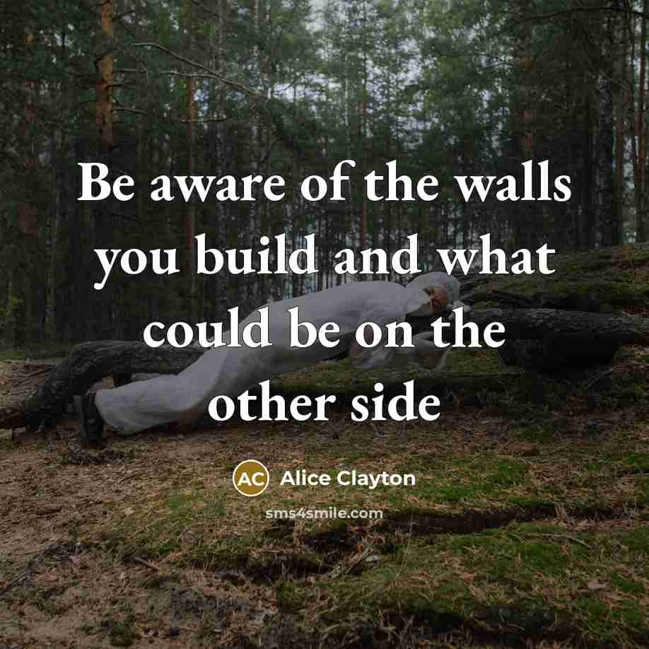 “Be aware of the walls you build and what could…” quote by Alice Clayton