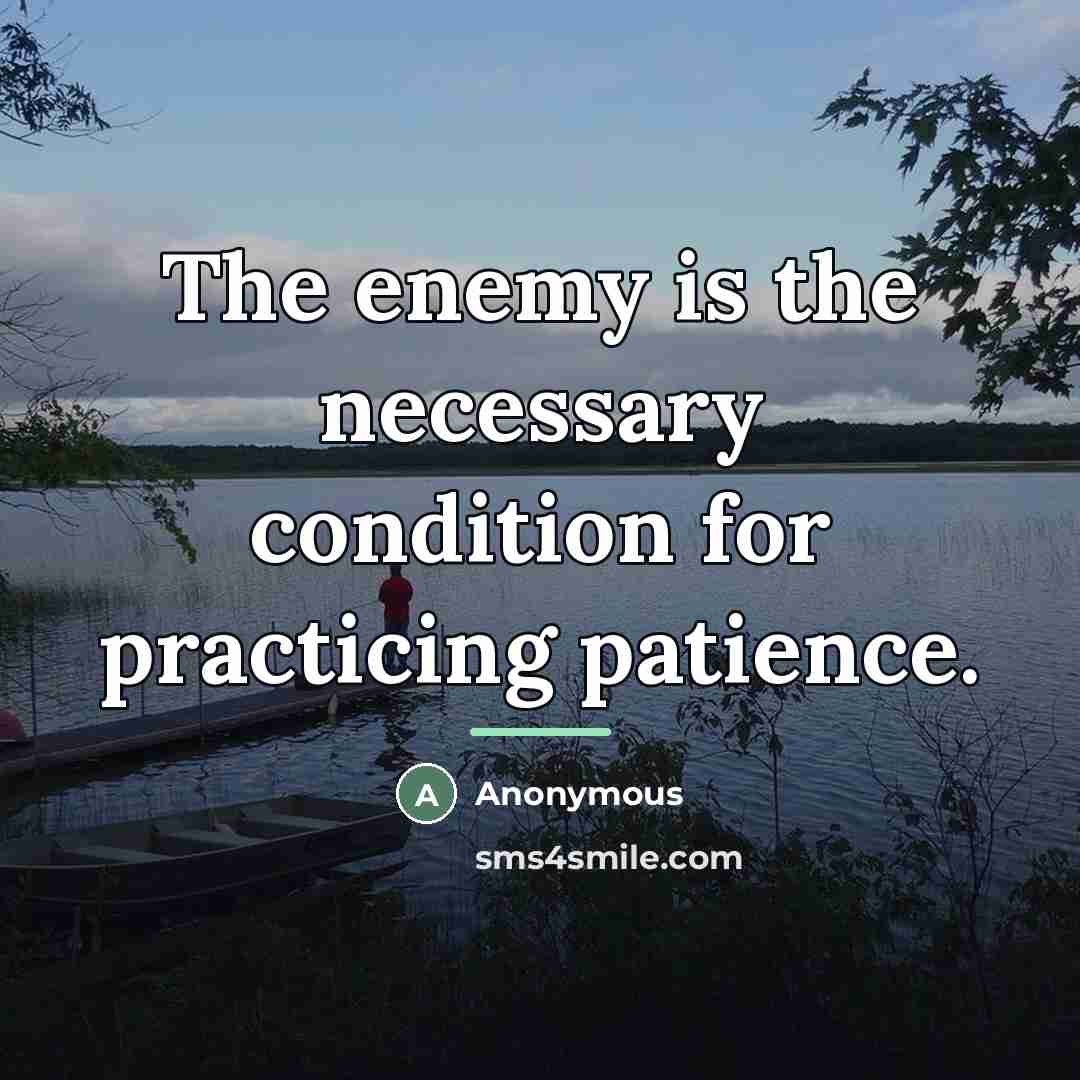 “The enemy is the necessary condition for practicing patience.…” quote by Anonymous