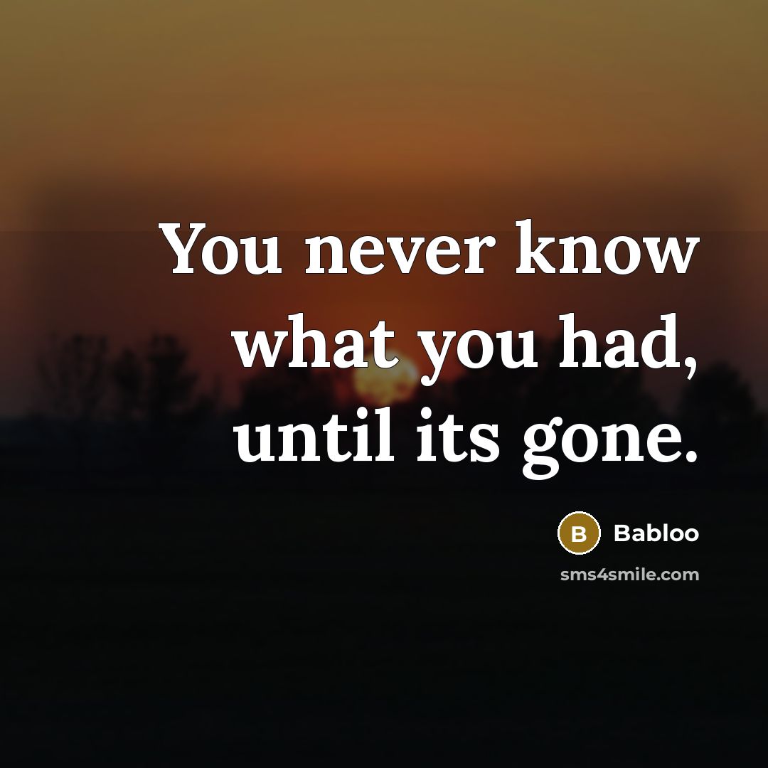 “You never know what you had, until its gone.” quote by Babloo