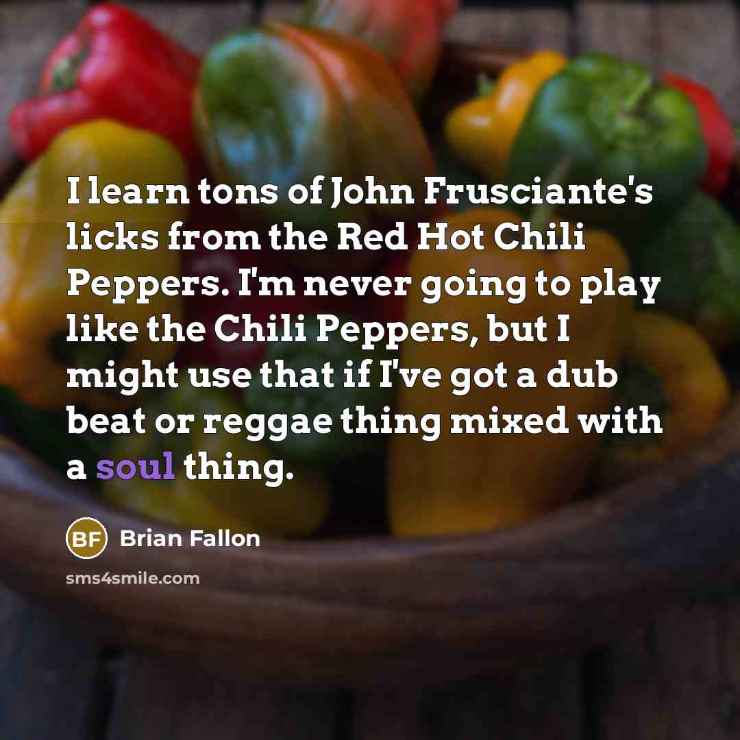 “I learn tons of John Frusciante's licks from the Red Hot Chili Peppers. I'm never going to play like the Chili Peppers, but I might use that if I've got a dub beat or reggae thing mixed with a soul thing.” quote by Brian Fallon