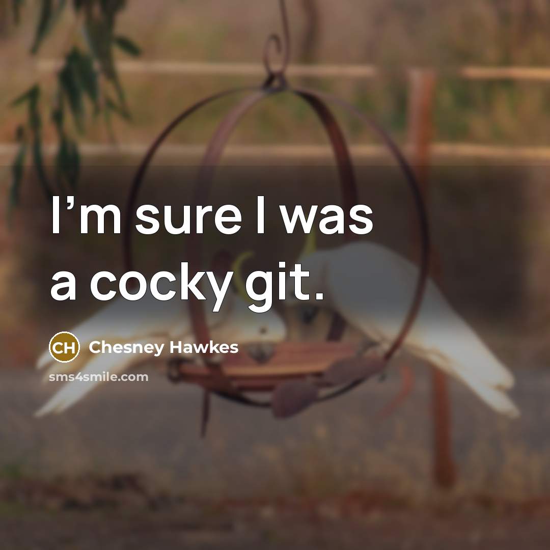 “I'm sure I was a cocky git.…” quote by Chesney Hawkes