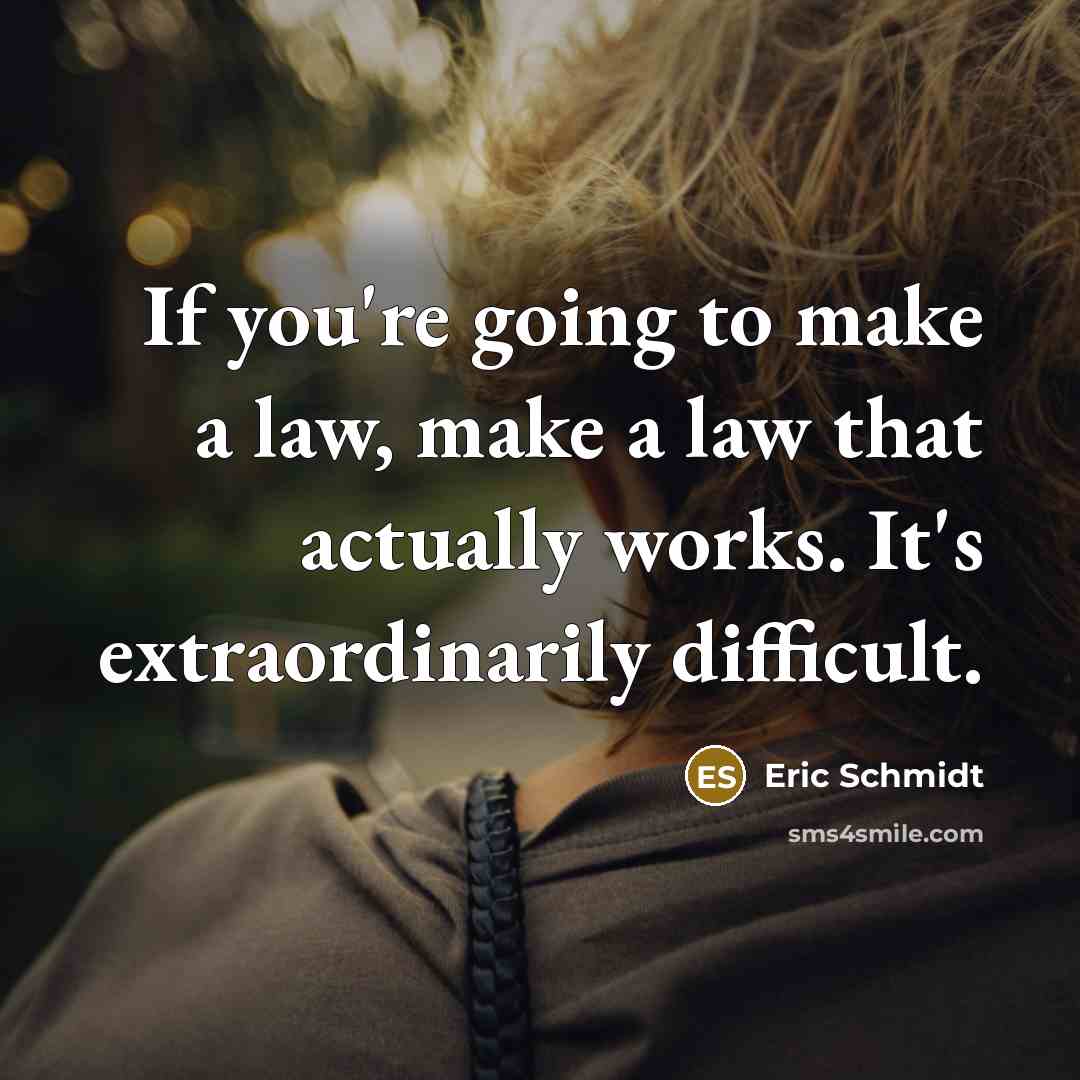 “If you're going to make a law, make a law…” quote by Eric Schmidt