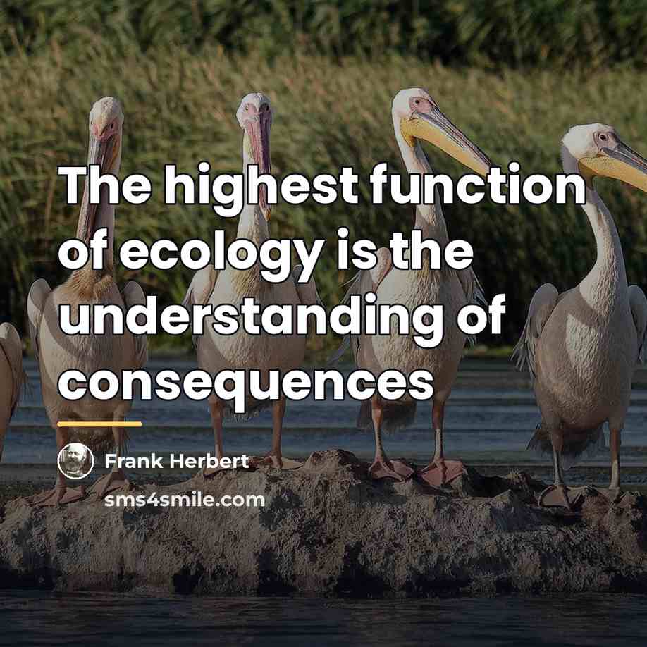 “The highest function of ecology is the understanding of consequences…” quote by Frank Herbert
