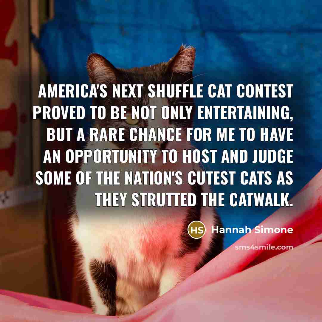 “America's Next Shuffle Cat contest proved to be not only…” quote by Hannah Simone