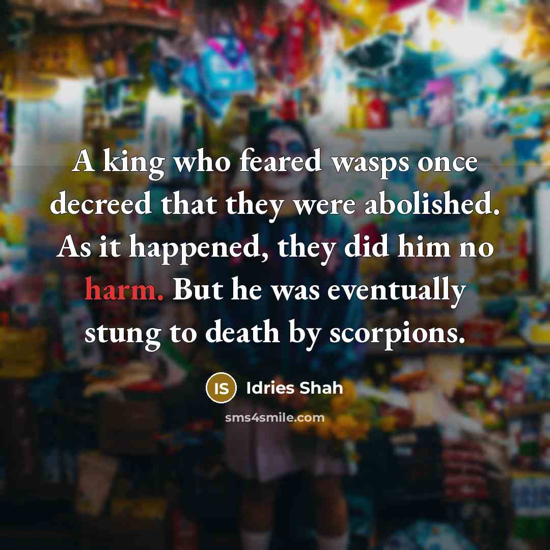 “A king who feared wasps once decreed that they were…” quote by Idries Shah