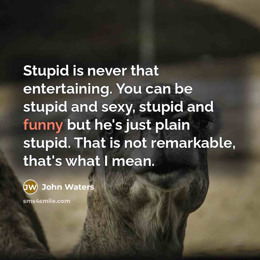 “Stupid is never that entertaining. You can be stupid and…” quote by John Waters