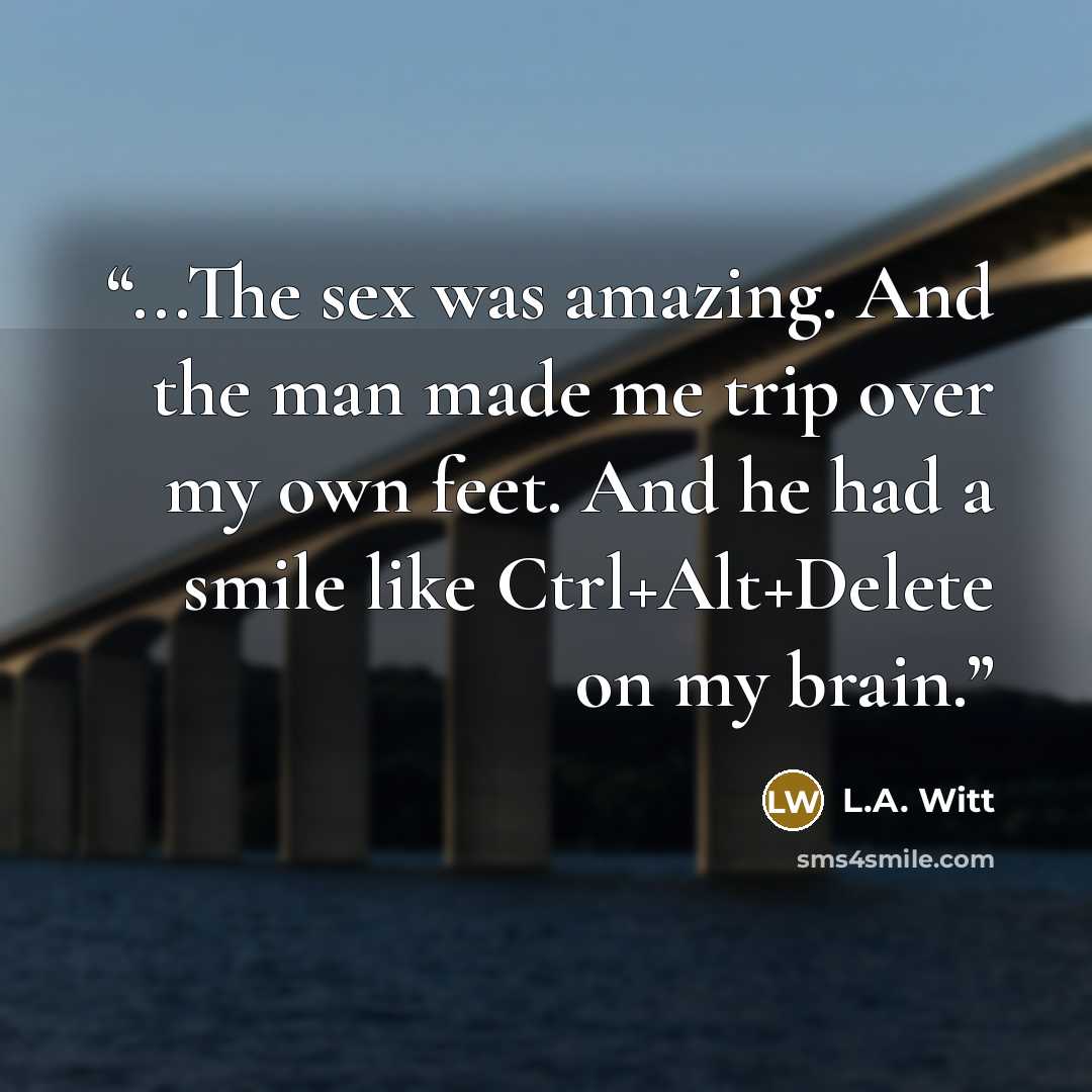 “...The sex was amazing. And the man made me trip over my own feet. And he had a smile like Ctrl+Alt+Delete on my brain.” quote by L.A. Witt