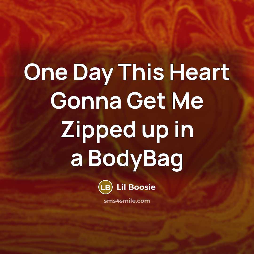 “One Day This Heart Gonna Get Me Zipped up in…” quote by Lil Boosie