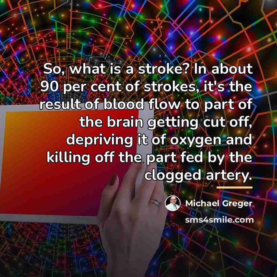 “So, what is a stroke? In about 90 per cent…” quote by Michael Greger