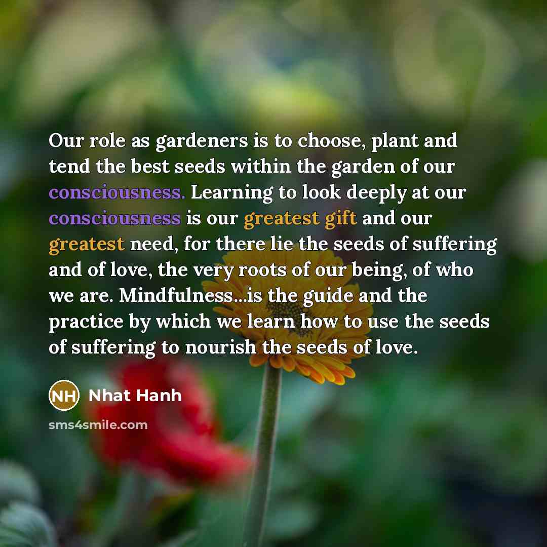 “Our role as gardeners is to choose, plant and tend…” quote by Nhat Hanh
