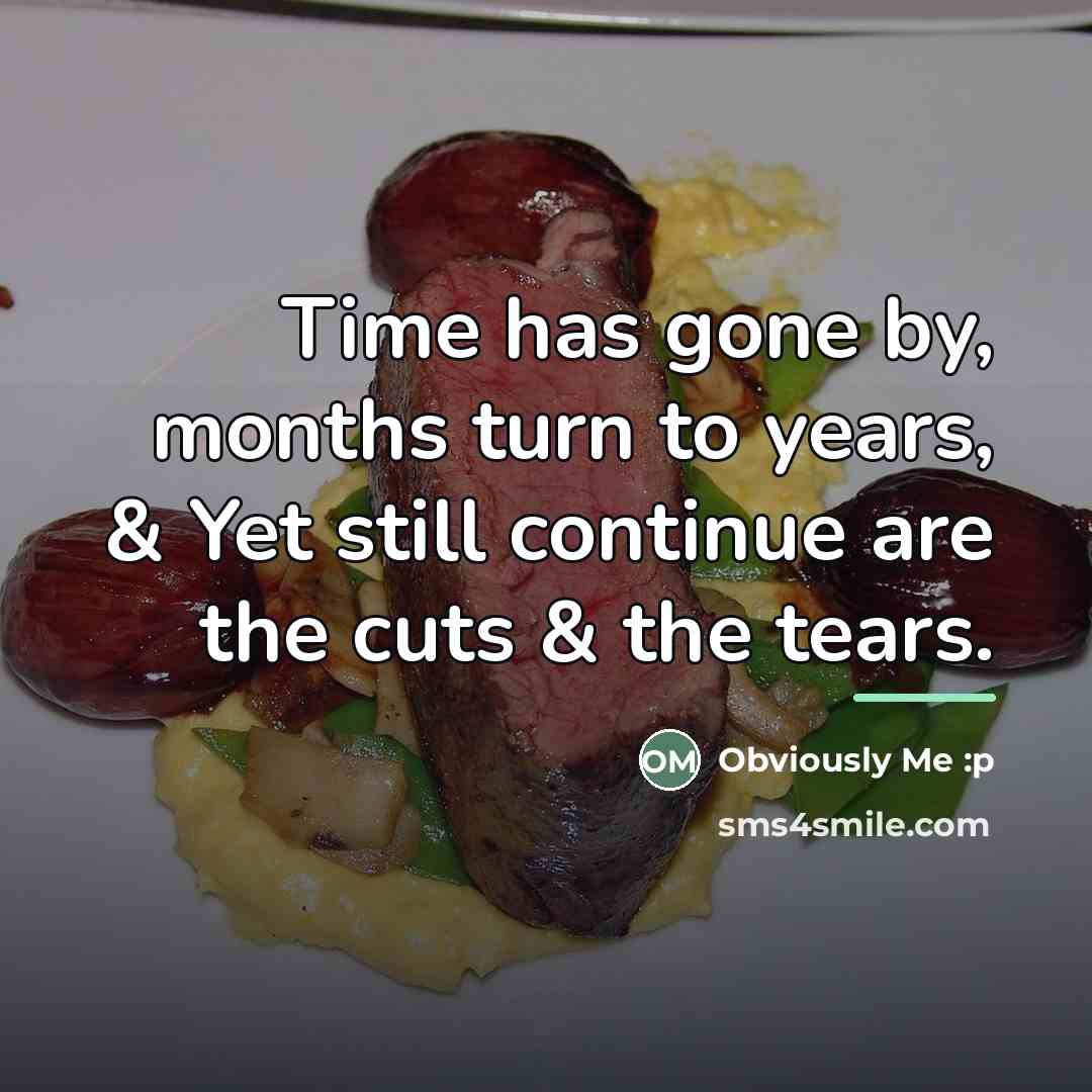 “Time has gone by, months turn to years, & Yet…” quote by Obviously Me :p