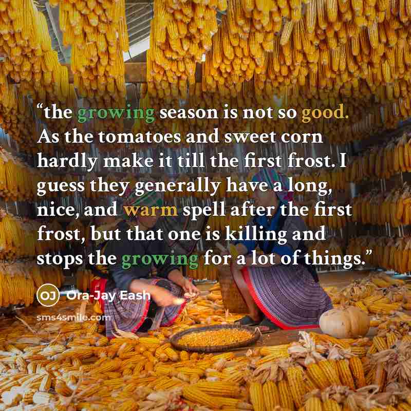 “the growing season is not so good. As the tomatoes and sweet corn hardly make it till the first frost. I guess they generally have a long, nice, and warm spell after the first frost, but that one is killing and stops the growing for a lot of things.” quote by Ora-Jay Eash