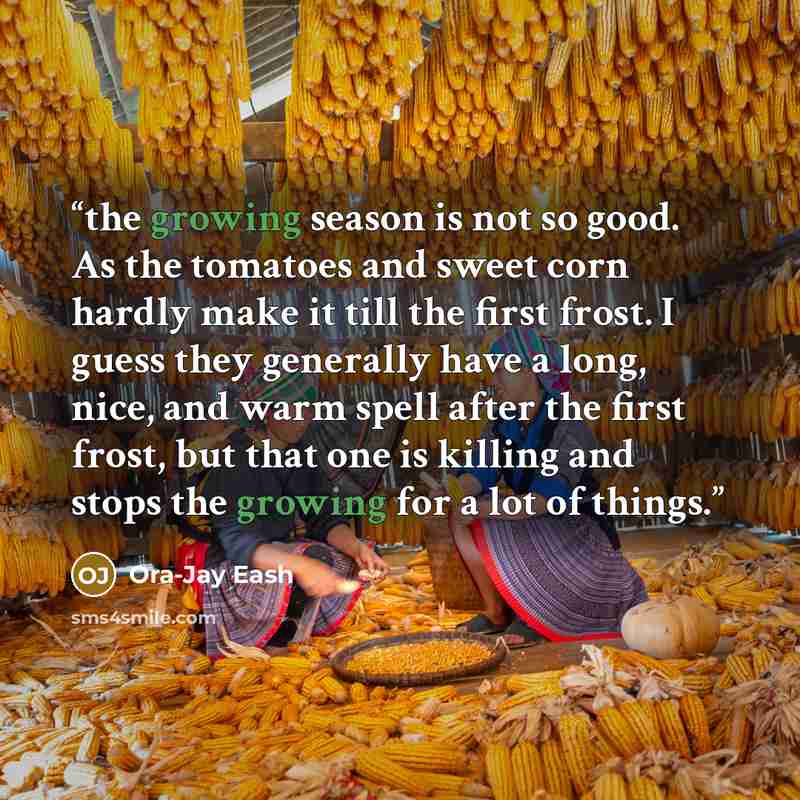“the growing season is not so good. As the tomatoes and sweet corn hardly make it till the first frost. I guess they generally have a long, nice, and warm spell after the first frost, but that one is killing and stops the growing for a lot of things.” quote by Ora-Jay Eash