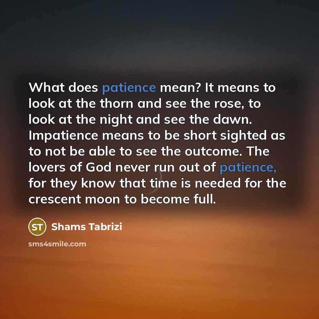 “What does patience mean? It means to look at the…” quote by Shams Tabrizi