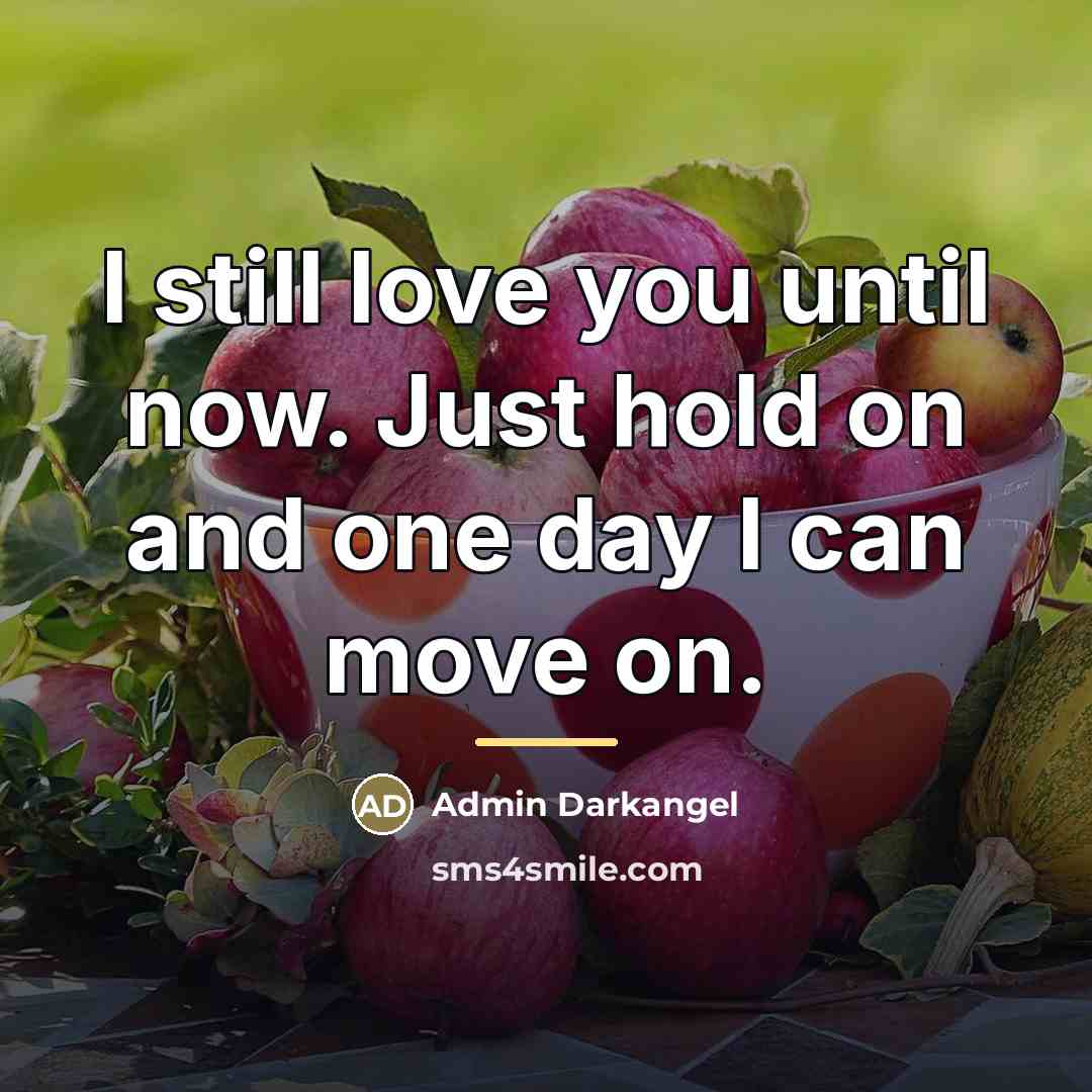 “I still love you until now. Just hold on and…” quote by Admin Darkangel