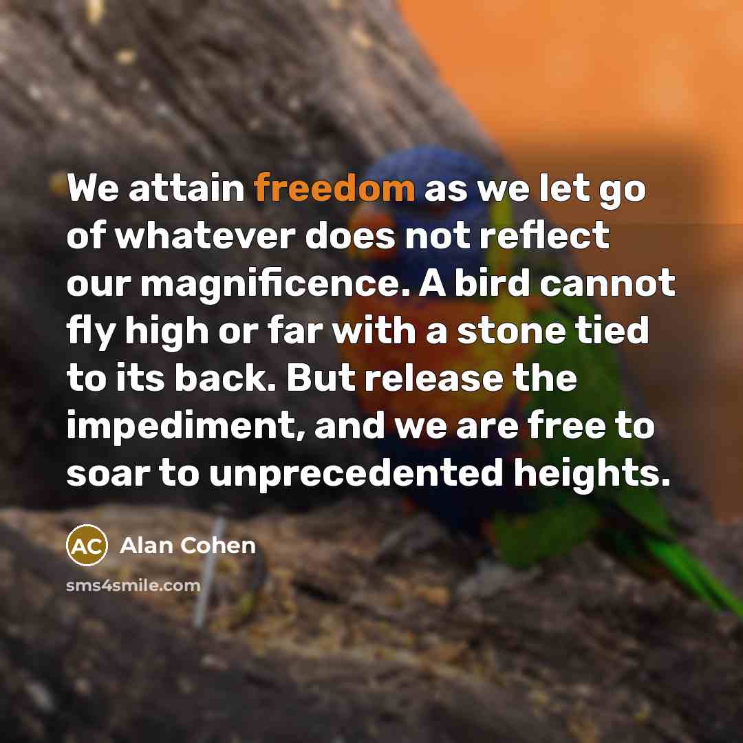 “We attain freedom as we let go of whatever does…” quote by Alan Cohen