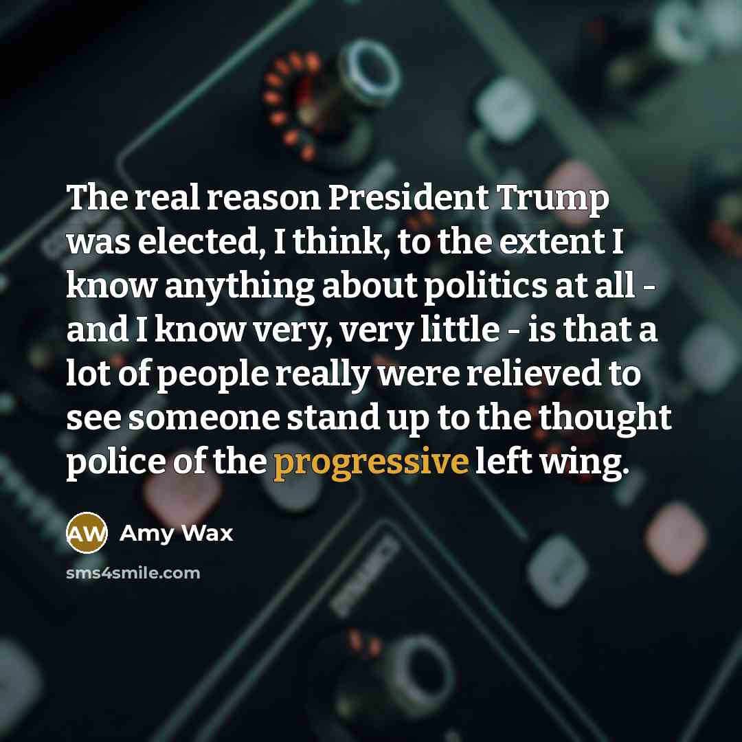 “The real reason President Trump was elected, I think, to the extent I know anything about politics at all - and I know very, very little - is that a lot of people really were relieved to see someone stand up to the thought police of the progressive left wing.” quote by Amy Wax
