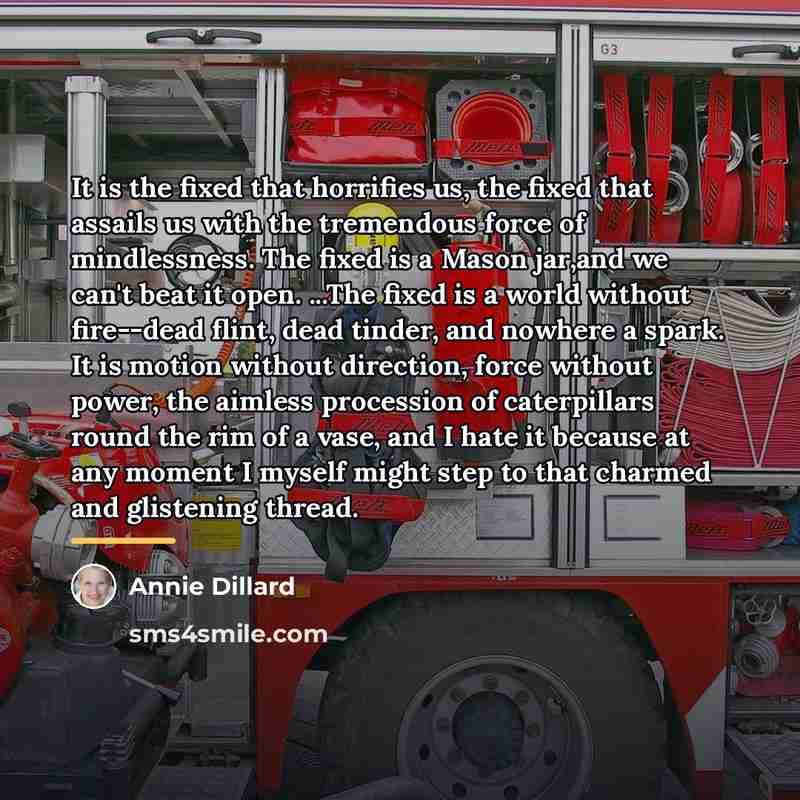 “It is the fixed that horrifies us, the fixed that…” quote by Annie Dillard